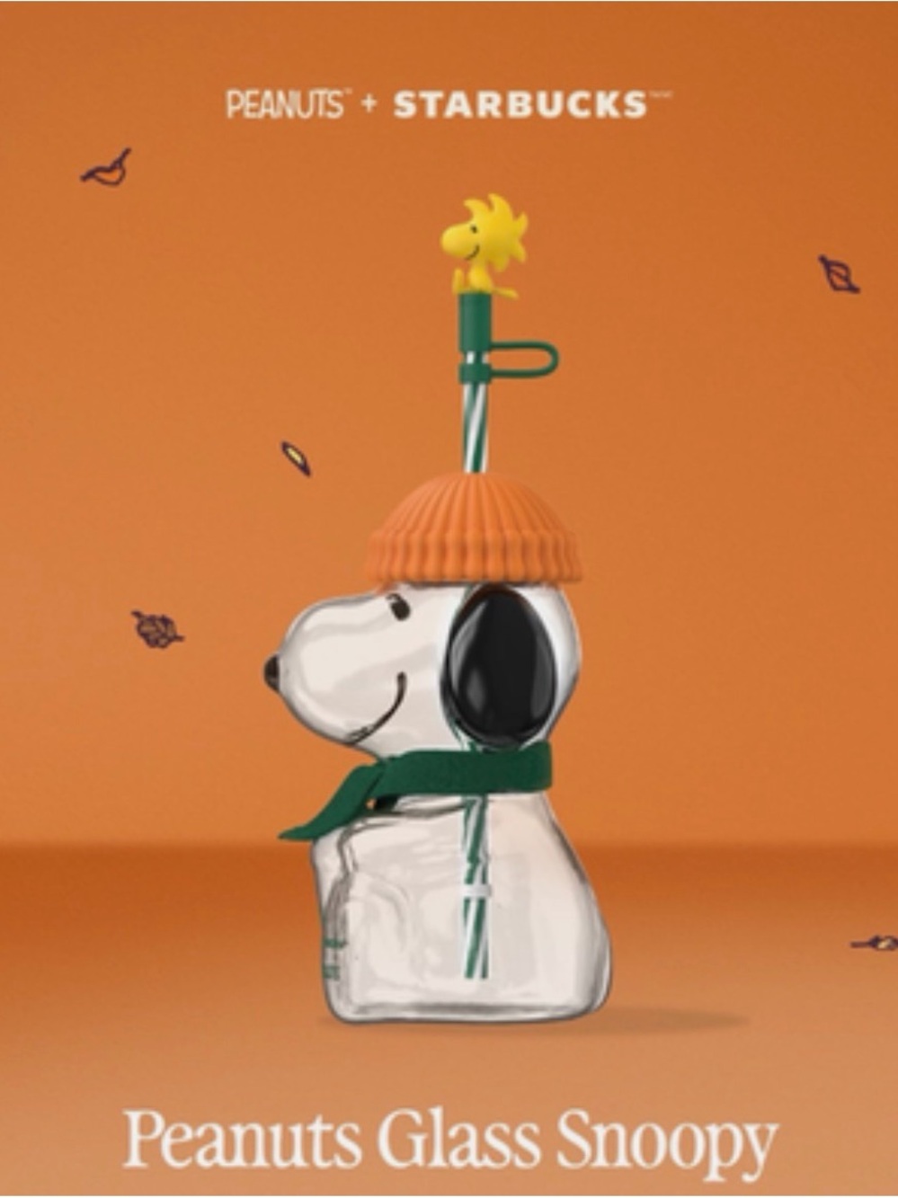 Starbucks Orange & Green Peanuts Glass Snoopy Dog Bottle